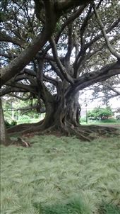 by a_and_a, Views[350]