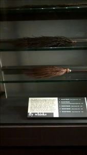 by a_and_a, Views[372]