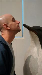 by a_and_a, Views[324]