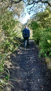 by a_and_a, Views[324]