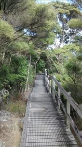 by a_and_a, Views[307]