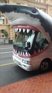 bus to kelly tarlton's sea life aquarium: by a_and_a, Views[188]