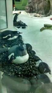 by a_and_a, Views[175]