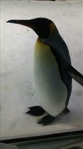 by a_and_a, Views[296]