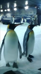 by a_and_a, Views[178]