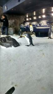 by a_and_a, Views[187]