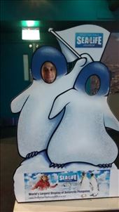 by a_and_a, Views[154]