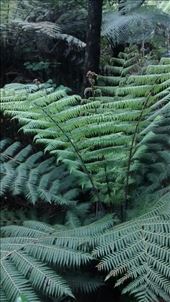 by a_and_a, Views[171]