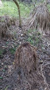 by a_and_a, Views[180]