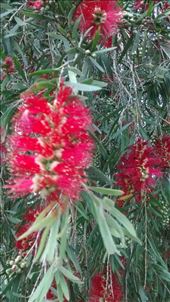 by a_and_a, Views[208]