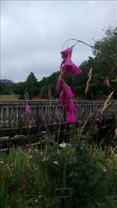 by a_and_a, Views[209]