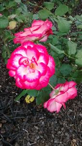 by a_and_a, Views[200]