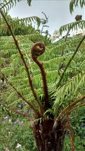 by a_and_a, Views[157]