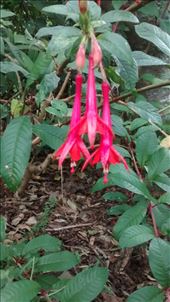 by a_and_a, Views[168]