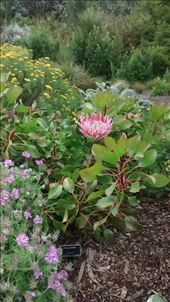 by a_and_a, Views[170]