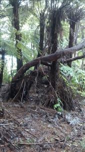 by a_and_a, Views[127]