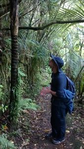 by a_and_a, Views[147]