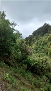 by a_and_a, Views[138]