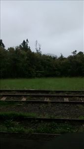 by a_and_a, Views[181]