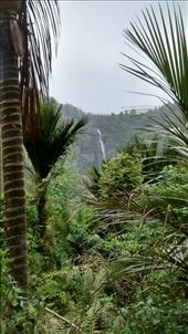 by a_and_a, Views[245]