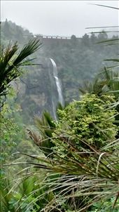 by a_and_a, Views[243]