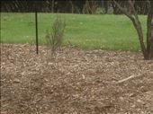 Auckland Botanical Gardens: by a_and_a, Views[151]
