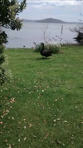 by a_and_a, Views[345]