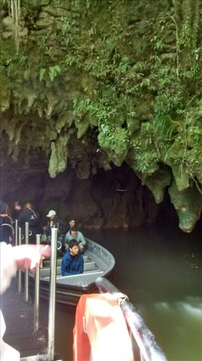 Waitomo Glowworm caves