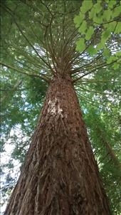 by a_and_a, Views[400]