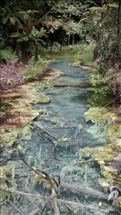 by a_and_a, Views[405]