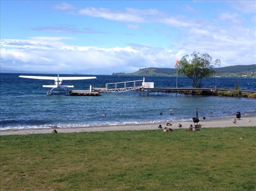 Lake Taupo