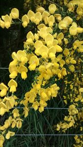 by a_and_a, Views[293]