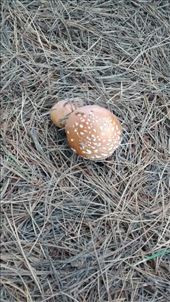 by a_and_a, Views[352]