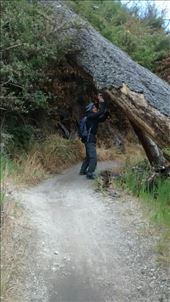 by a_and_a, Views[311]