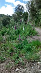 by a_and_a, Views[310]