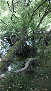 by a_and_a, Views[317]