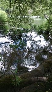 by a_and_a, Views[313]