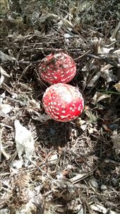 by a_and_a, Views[323]