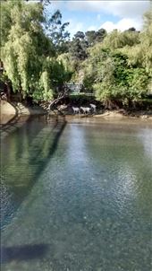 by a_and_a, Views[314]