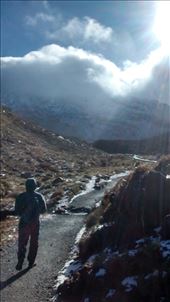 by a_and_a, Views[315]