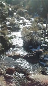 by a_and_a, Views[335]