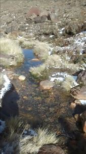 by a_and_a, Views[291]