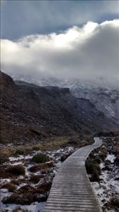 by a_and_a, Views[174]