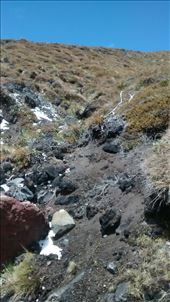 by a_and_a, Views[136]