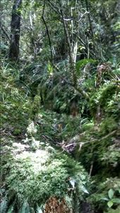 by a_and_a, Views[380]