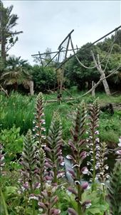 by a_and_a, Views[300]