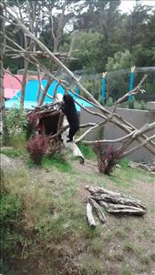 by a_and_a, Views[364]