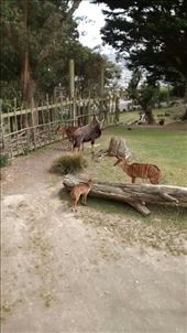 by a_and_a, Views[351]