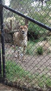 by a_and_a, Views[325]