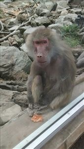 by a_and_a, Views[339]